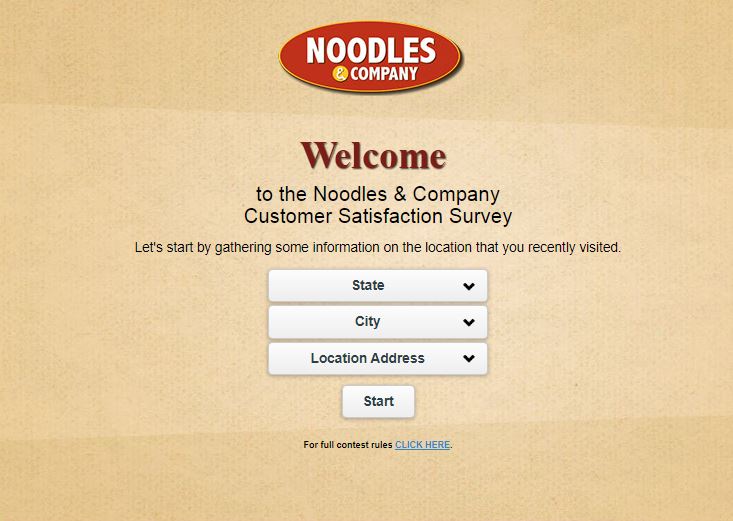 Noodles Survey
