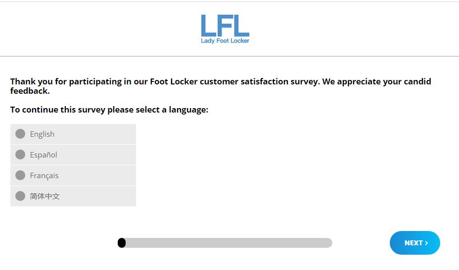 Lady Foot Locker Survey