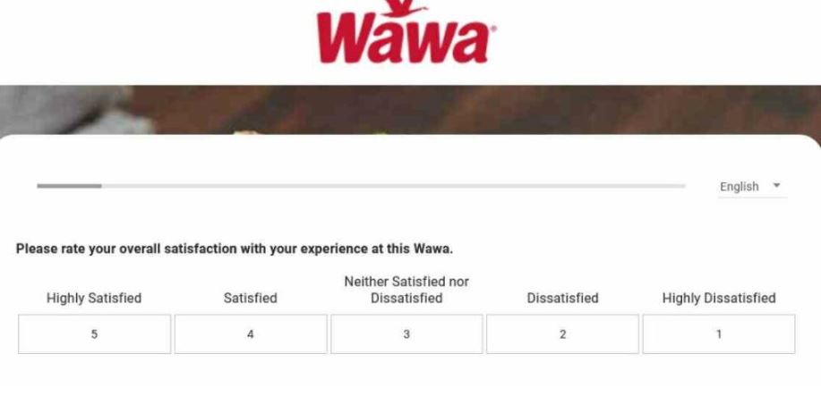 Wawa's feedback survey