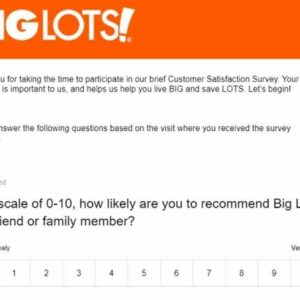 big lots survey question